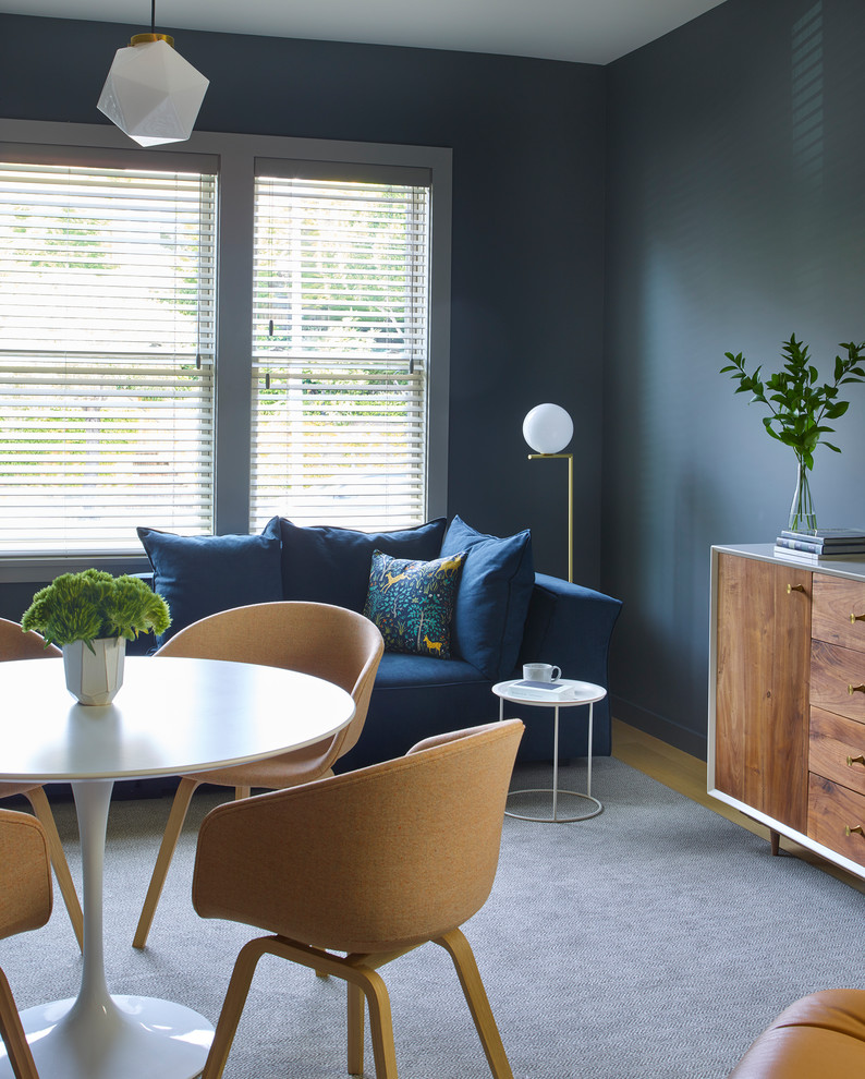 Esempio di un soggiorno minimalista di medie dimensioni con pareti blu, moquette e pavimento grigio