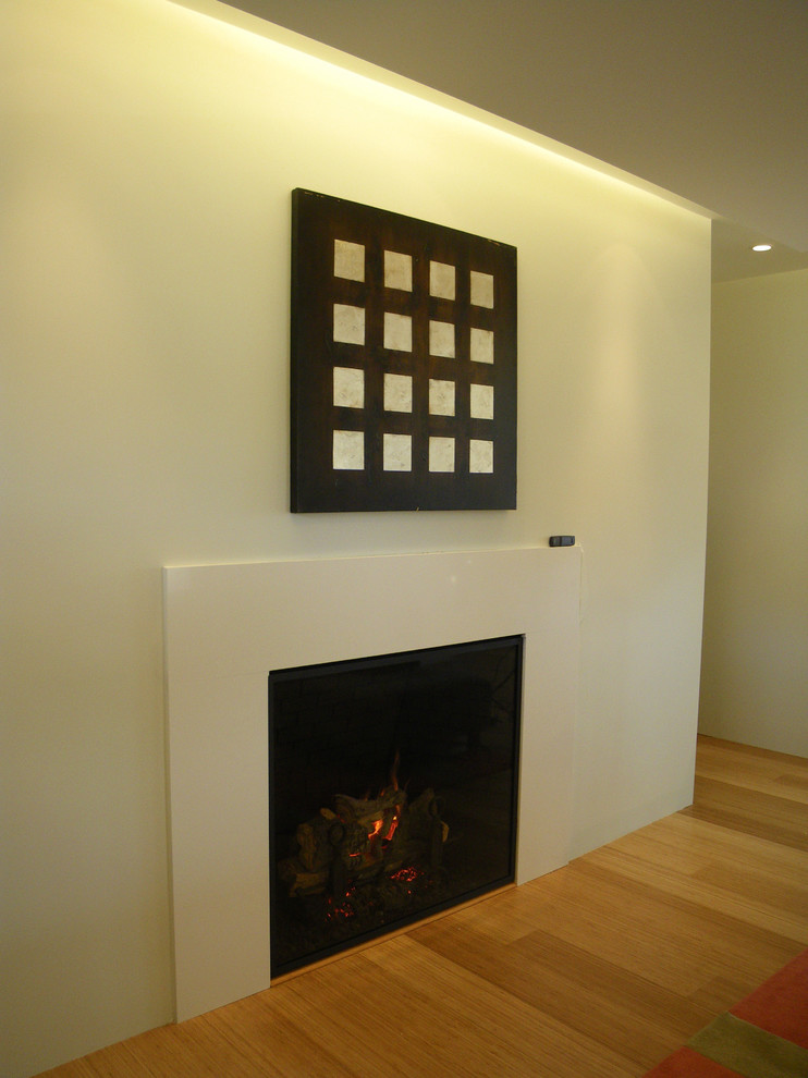 Cette photo montre une salle de séjour moderne avec un mur blanc et une cheminée standard.