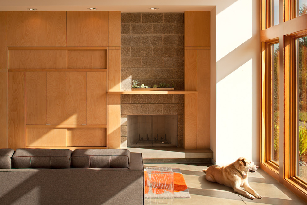 Modelo de sala de estar minimalista con marco de chimenea de hormigón