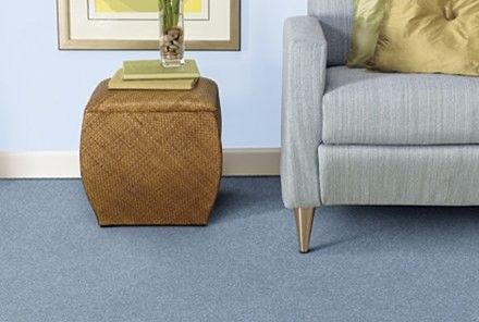 Inspiration for a mid-sized modern carpeted and blue floor family room remodel in Detroit with blue walls