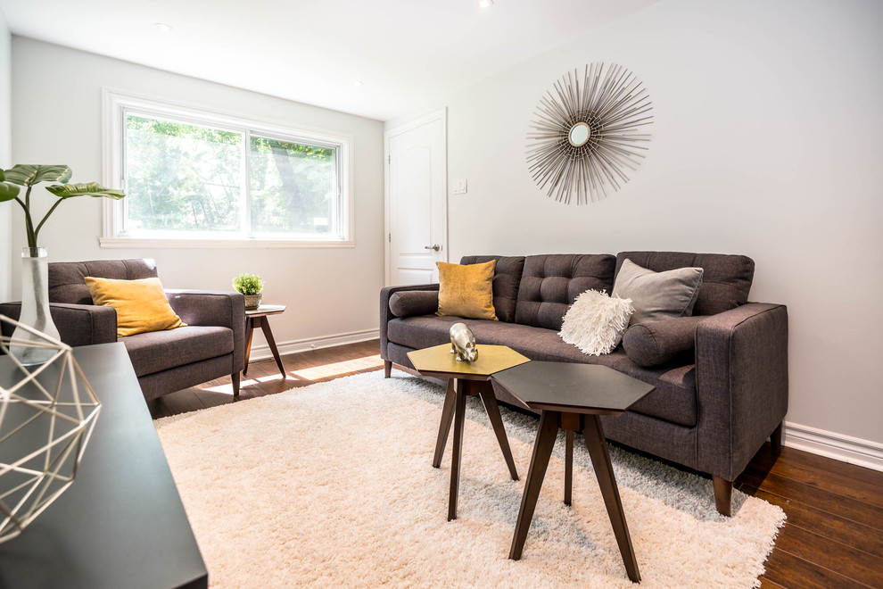 Idée de décoration pour une salle de séjour minimaliste de taille moyenne et fermée avec un mur gris et un téléviseur indépendant.
