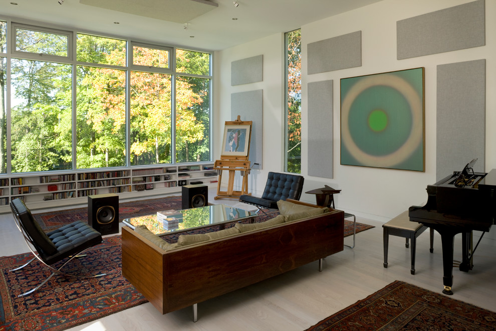 Modelo de sala de estar con rincón musical moderna con alfombra