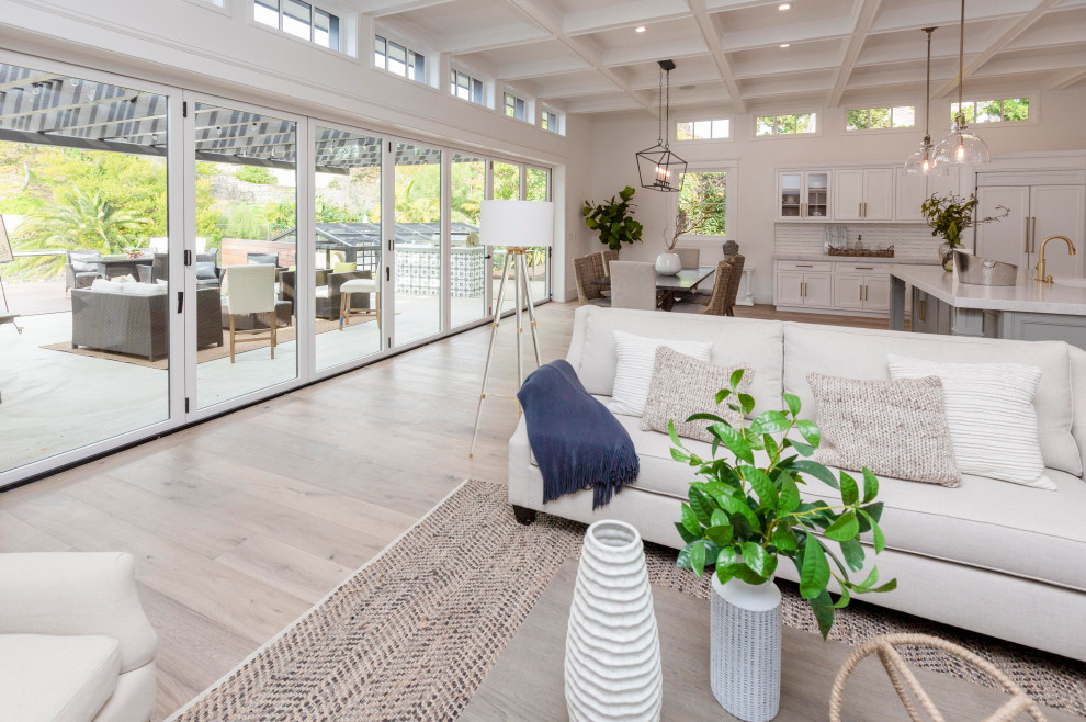 Ispirazione per un ampio soggiorno minimalista aperto con pareti bianche, parquet chiaro e soffitto a cassettoni