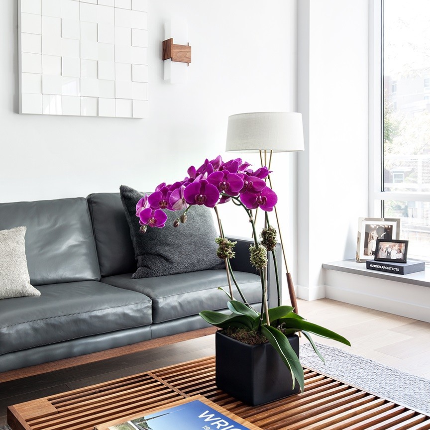 Ejemplo de sala de estar con barra de bar abierta actual de tamaño medio con paredes blancas, suelo de madera clara y pared multimedia