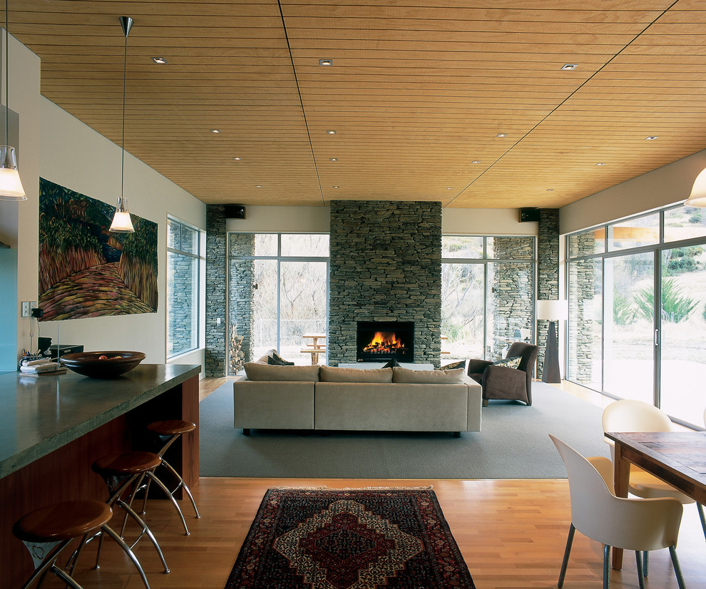 Источник вдохновения для домашнего уюта: гостиная комната в современном стиле с фасадом камина из камня