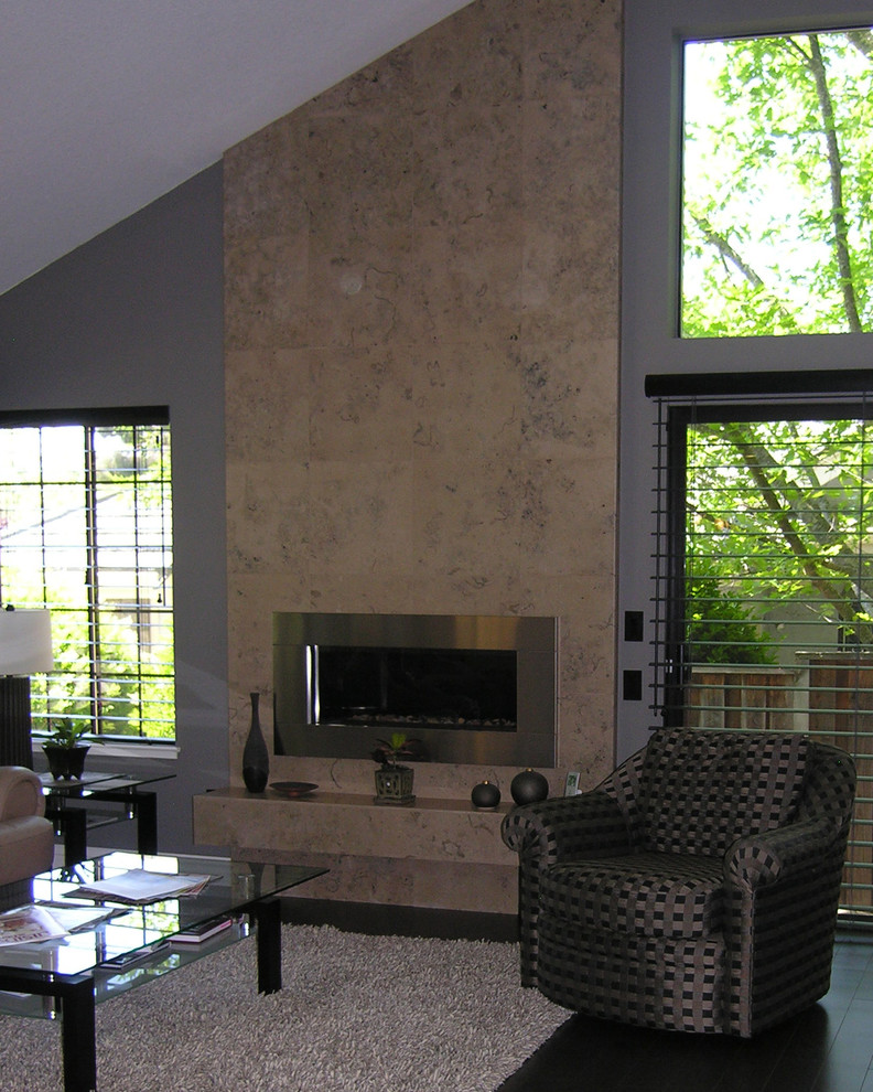Immagine di un soggiorno minimalista di medie dimensioni e aperto con pareti grigie, parquet scuro, camino lineare Ribbon e cornice del camino in metallo