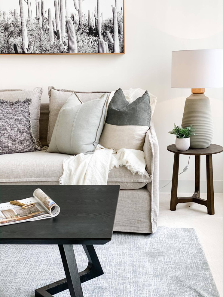 Diseño de sala de estar contemporánea con paredes blancas y moqueta