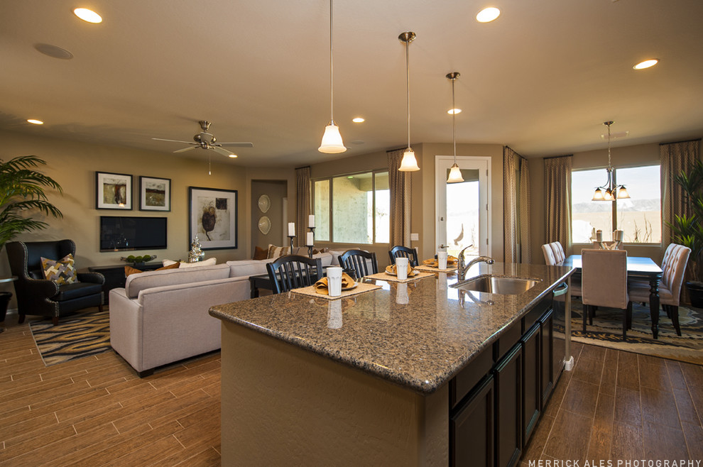 Sierra Plan at Del Mar at Sedella Phoenix, AZ Traditional Family