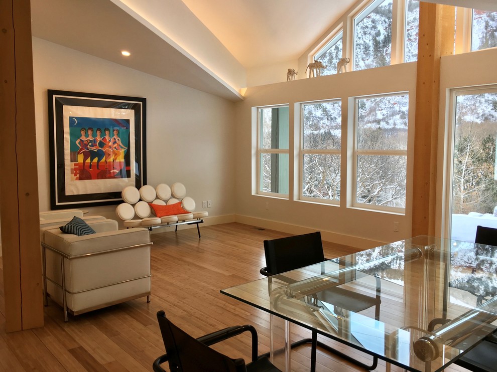 This is an example of a medium sized modern mezzanine games room in Denver with white walls, bamboo flooring and multi-coloured floors.
