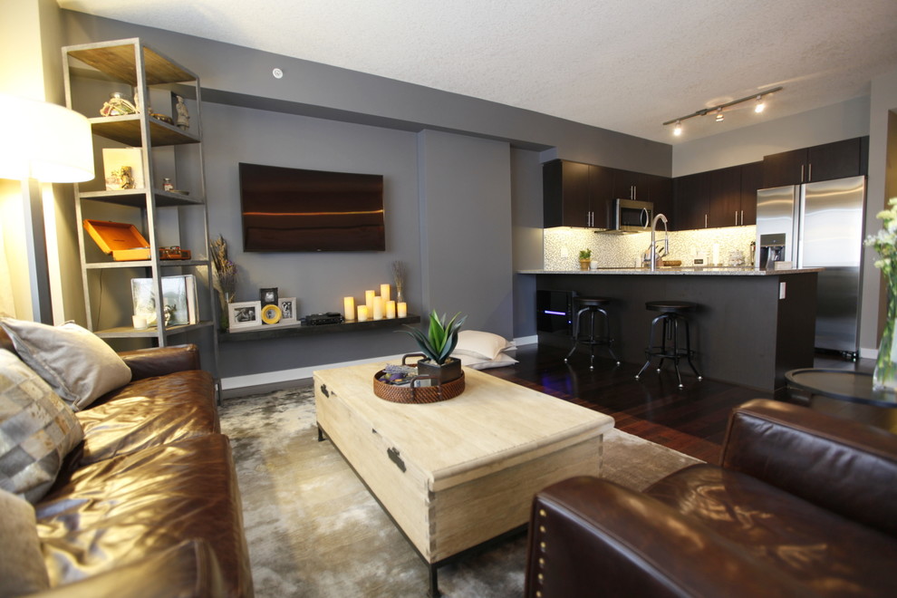 Imagen de sala de estar contemporánea pequeña sin chimenea con suelo de madera oscura, paredes grises, televisor colgado en la pared y alfombra