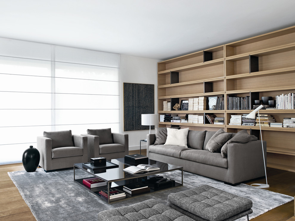 Diseño de sala de estar minimalista con paredes blancas, suelo de madera en tonos medios y alfombra