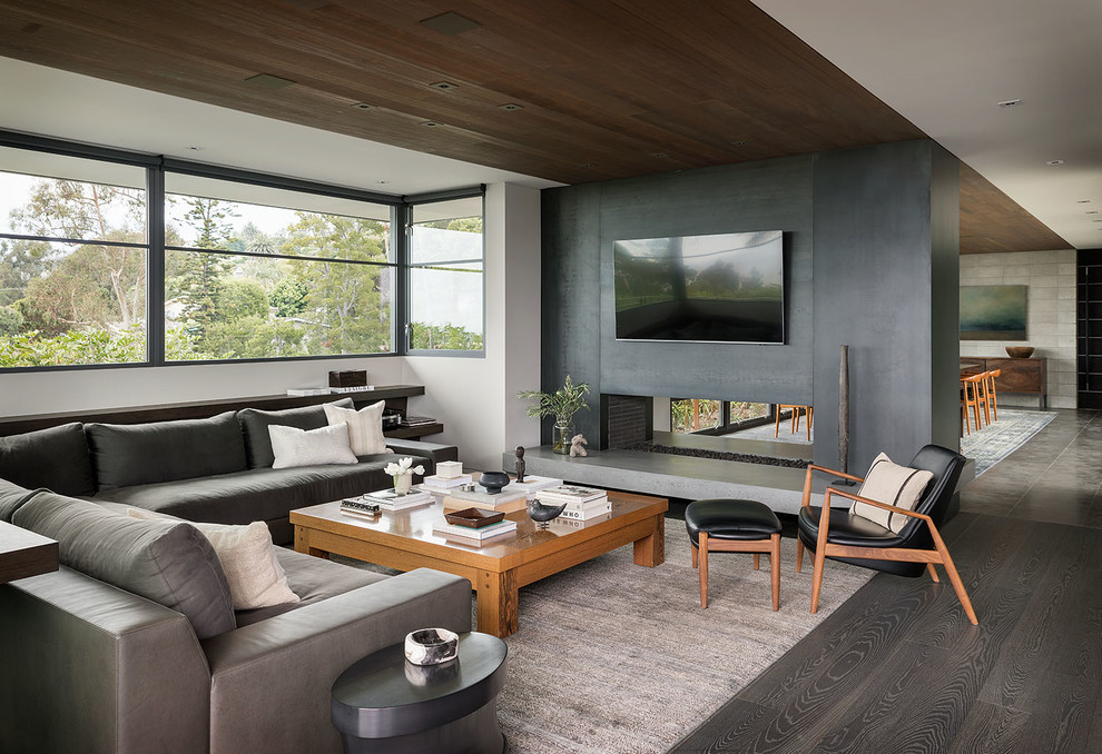 Esempio di un soggiorno moderno aperto con pareti bianche, parquet scuro, camino bifacciale, TV a parete e tappeto