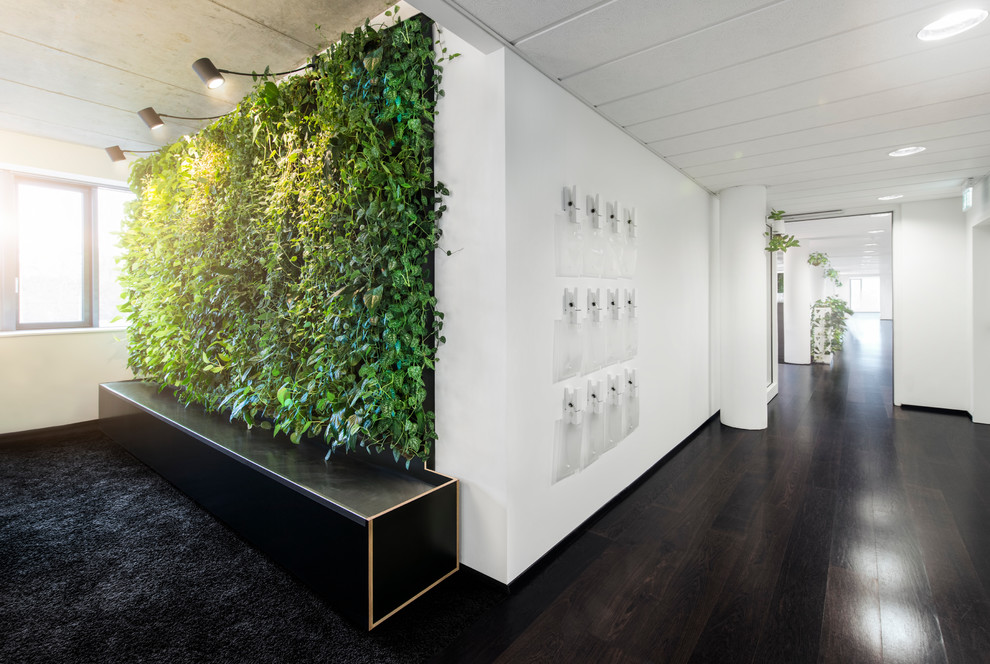 Immagine di un ingresso o corridoio minimalista con pareti bianche, pavimento in legno massello medio e pavimento marrone