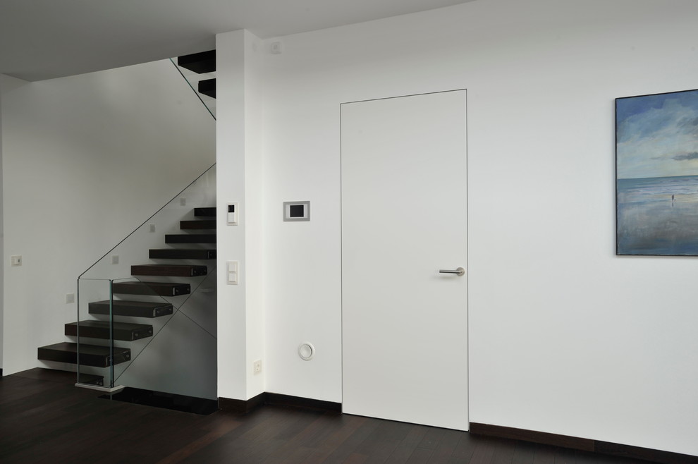 Idee per un ampio ingresso o corridoio minimalista con pareti bianche, parquet scuro e pavimento nero