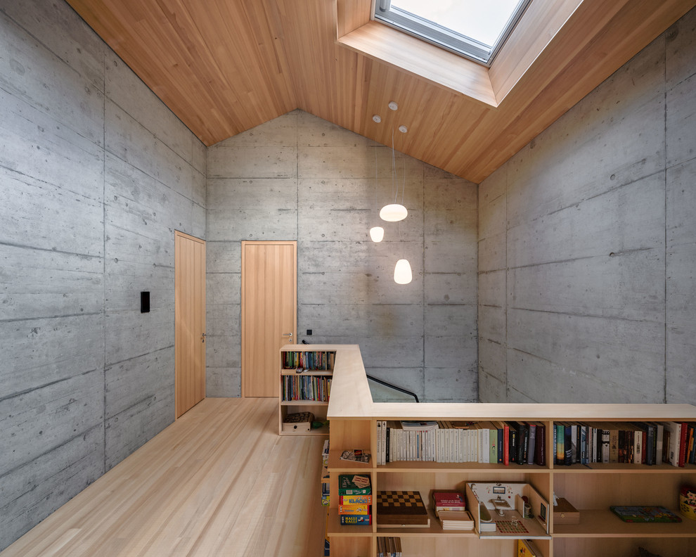 Источник вдохновения для домашнего уюта: коридор в стиле лофт с серыми стенами, светлым паркетным полом и бежевым полом