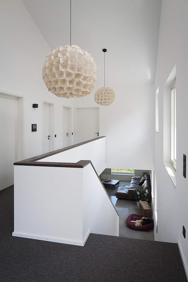Idéer för en mellanstor modern hall, med vita väggar, heltäckningsmatta och svart golv