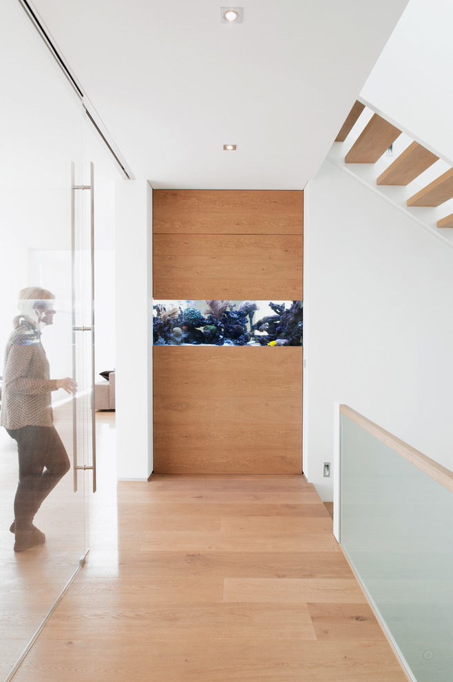 Immagine di un ingresso o corridoio moderno di medie dimensioni con pareti bianche e parquet chiaro