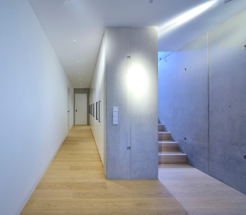 Esempio di un grande ingresso o corridoio minimalista con pareti grigie e parquet chiaro