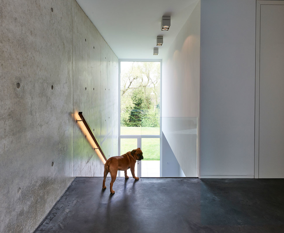 Diseño de recibidores y pasillos minimalistas de tamaño medio con paredes blancas, suelo de cemento, suelo negro y cuadros