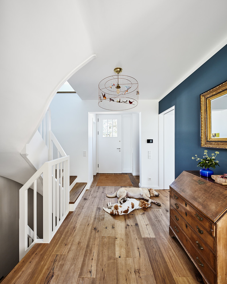 Foto de recibidores y pasillos clásicos de tamaño medio con paredes azules, suelo de madera en tonos medios y cuadros