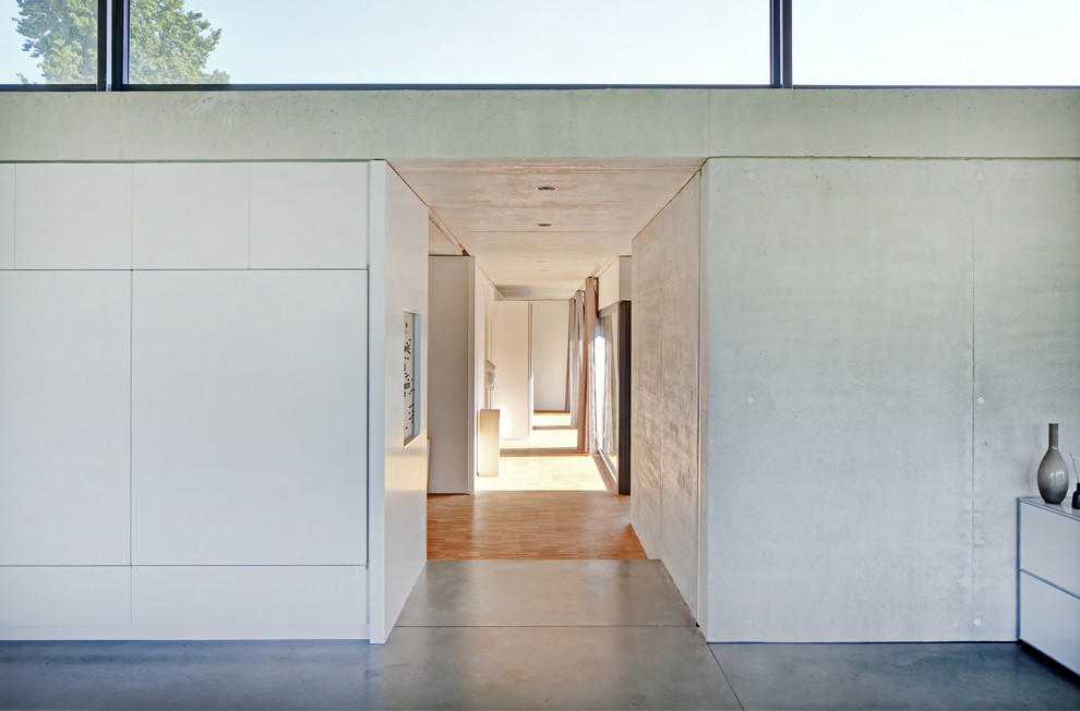 Ejemplo de recibidores y pasillos minimalistas grandes con paredes grises y suelo de cemento