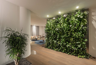 Wohnzimmer Begrünung - Modern - Flur - Stuttgart - von Mannsperger