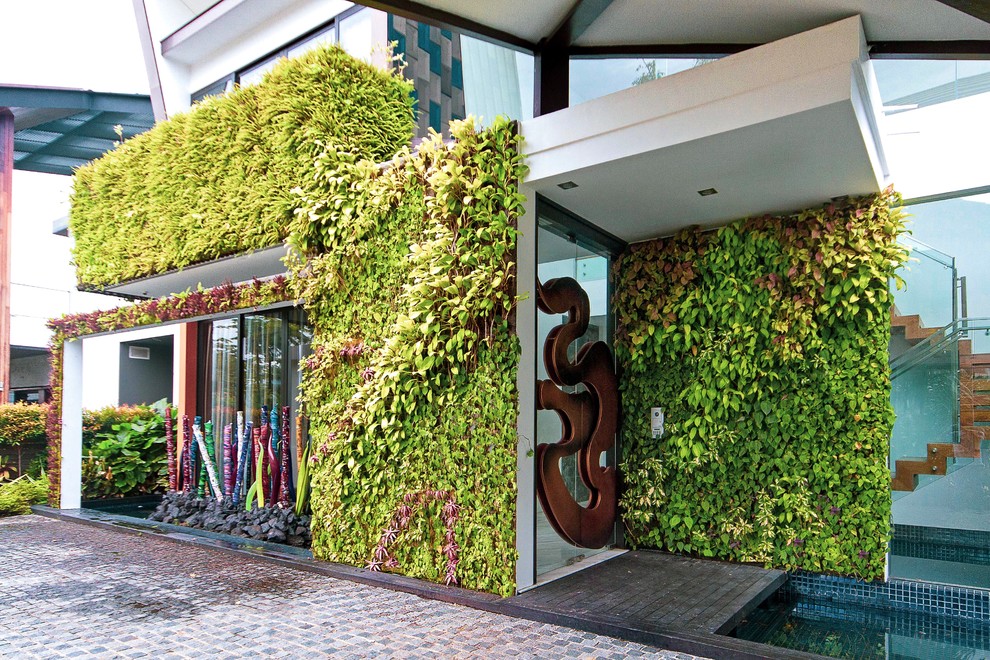 Moderner Eingang mit grüner Wandfarbe und grauem Boden in Singapur