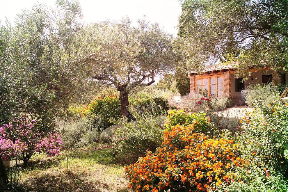 На фото: солнечный огород на участке среднего размера на переднем дворе в средиземноморском стиле с хорошей освещенностью с