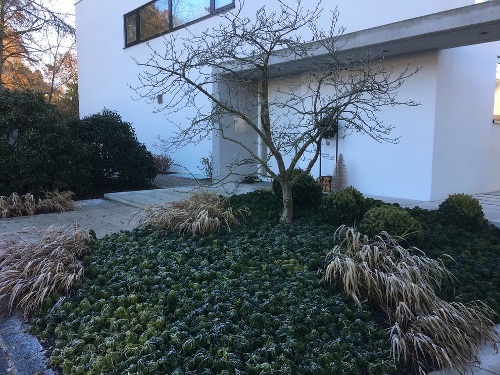 Bauhaus Garten Modern Landscape Munich by Soulgarden by