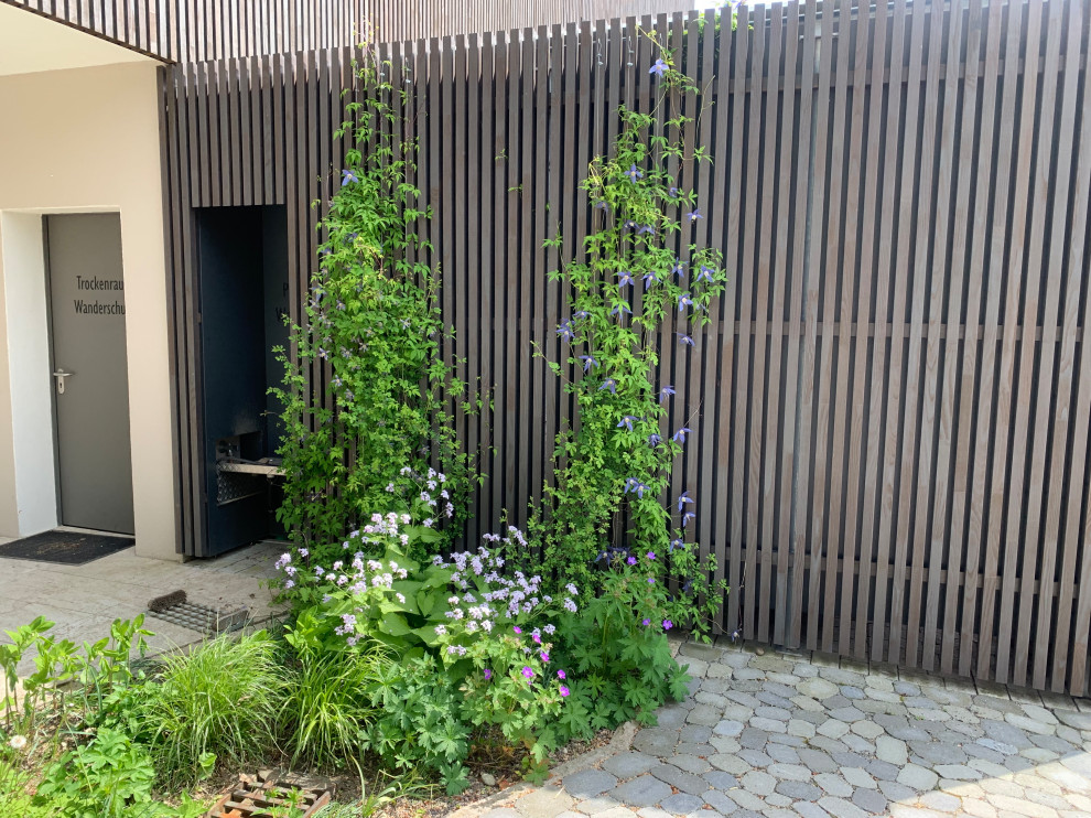 Идея дизайна: солнечный, осенний засухоустойчивый сад на переднем дворе в средиземноморском стиле с перегородкой для приватности, хорошей освещенностью и покрытием из каменной брусчатки