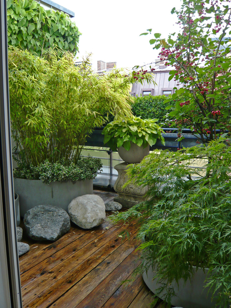 Dachterrasse München Glockenbachviertel Traditional Landscape