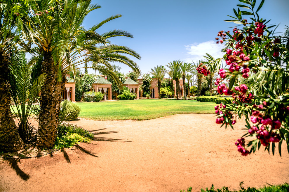 Photo of a mediterranean garden in Other.