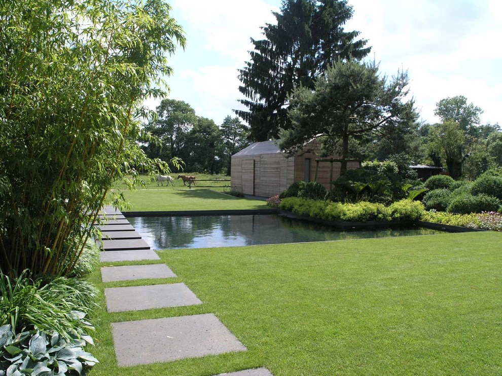 Свежая идея для дизайна: большой солнечный участок и сад в современном стиле с садовой дорожкой или калиткой и хорошей освещенностью - отличное фото интерьера