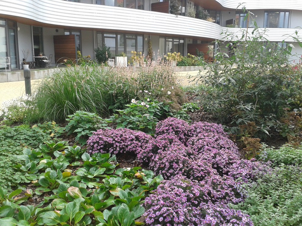 Idée de décoration pour un grand jardin sur cour design l'automne avec une exposition partiellement ombragée.