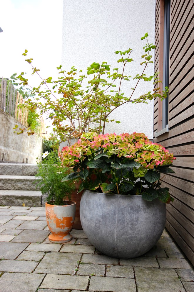 Пример оригинального дизайна: большой солнечный, летний регулярный сад на боковом дворе в стиле фьюжн с подпорной стенкой, хорошей освещенностью и покрытием из каменной брусчатки