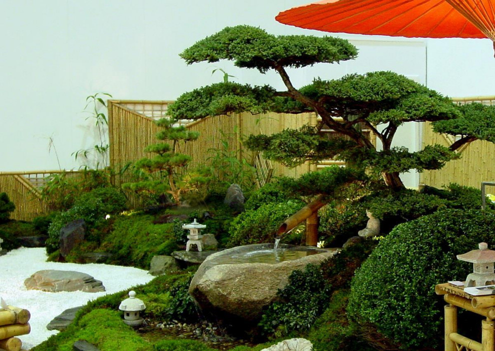 Diseño de jardín asiático pequeño en patio