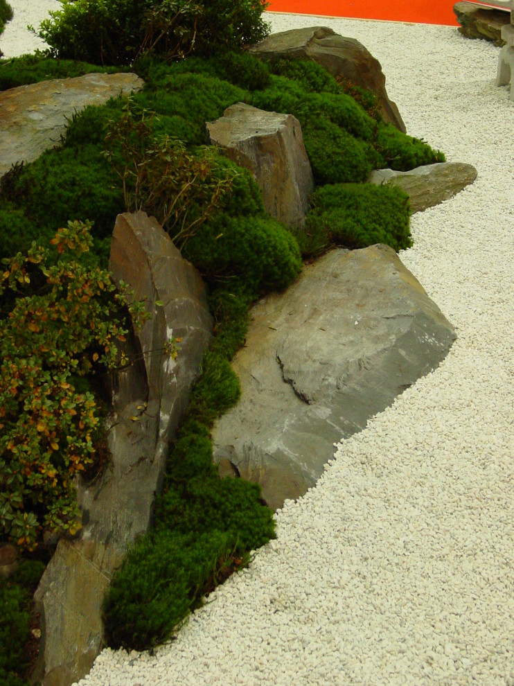 Imagen de jardín de estilo zen pequeño en patio