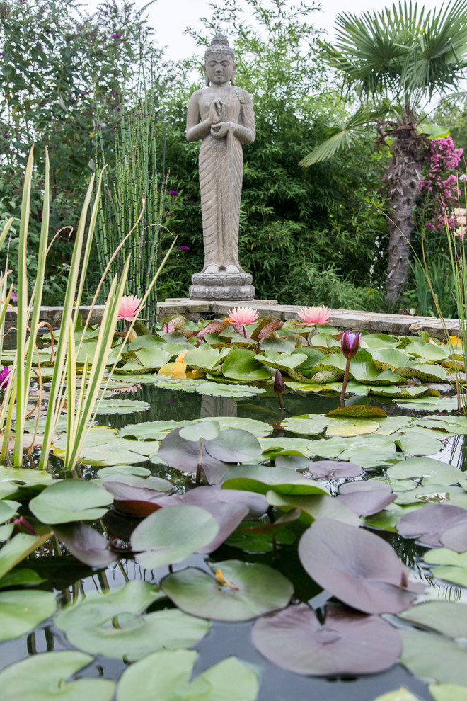 Modelo de jardín de estilo zen pequeño en verano en patio trasero con estanque