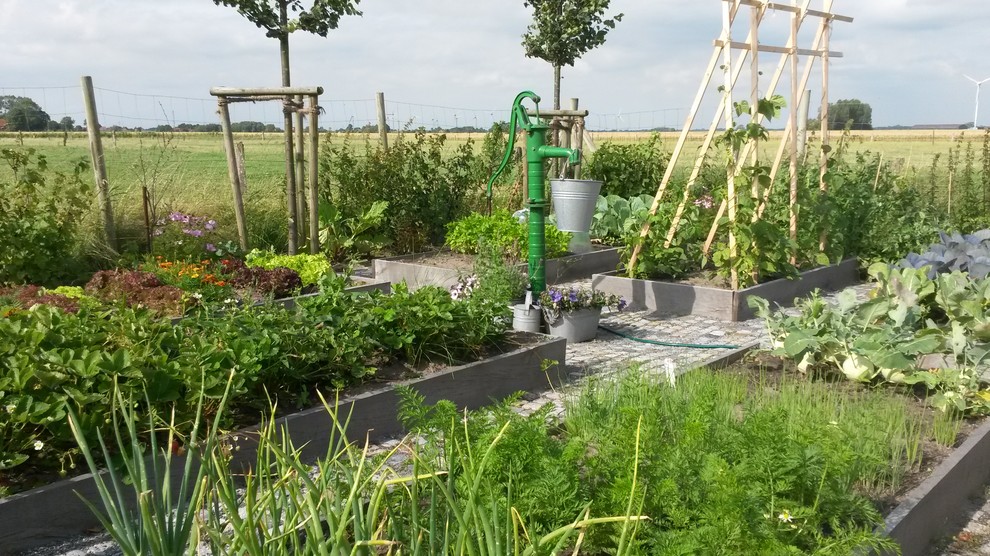 Gemüsegarten Rustikal Garten Bremen von Garten Janssen Houzz