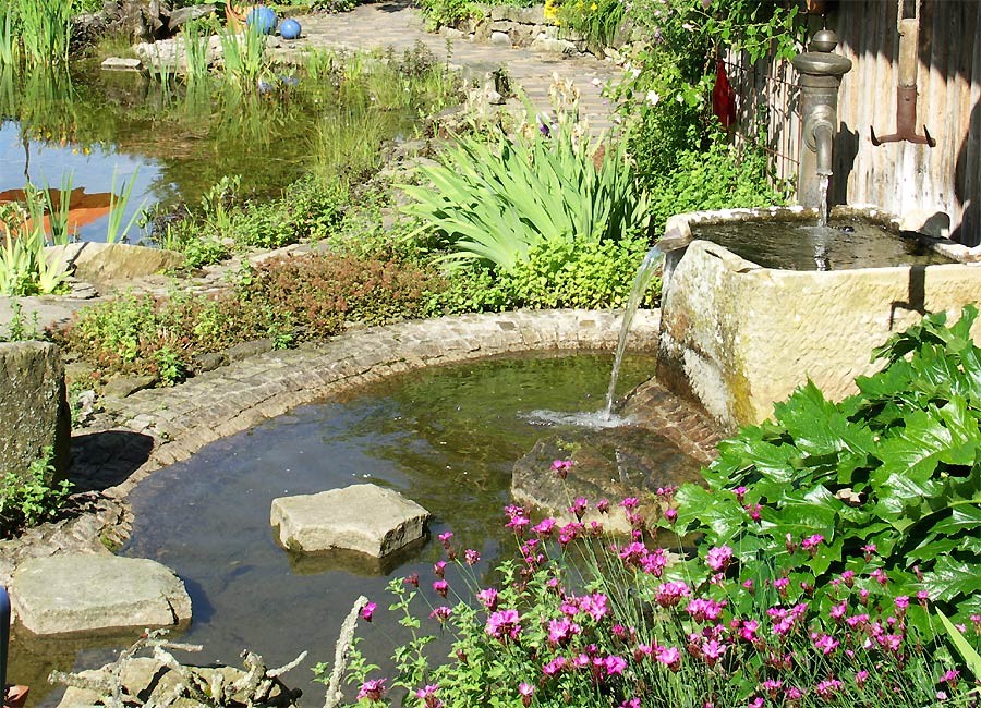 Réalisation d'un jardin tradition l'été avec un point d'eau et une exposition ensoleillée.