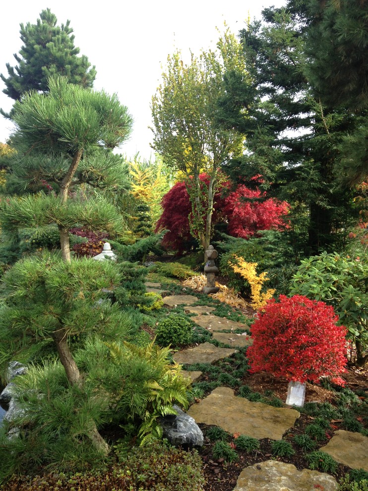 Bild på en orientalisk trädgård