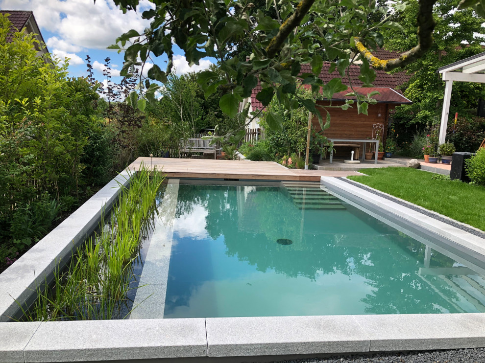 Kleiner Garten mit Naturpool Pool Munich by Schweiger Gärtner von