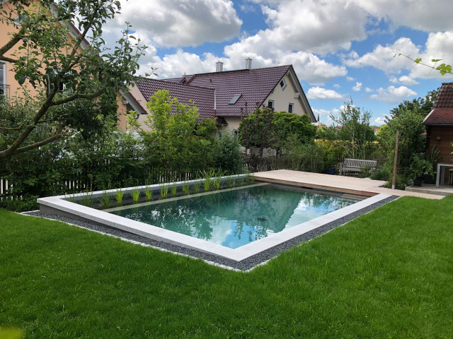 Kleiner Garten mit Naturpool Jardin Munich par Schweiger Gärtner