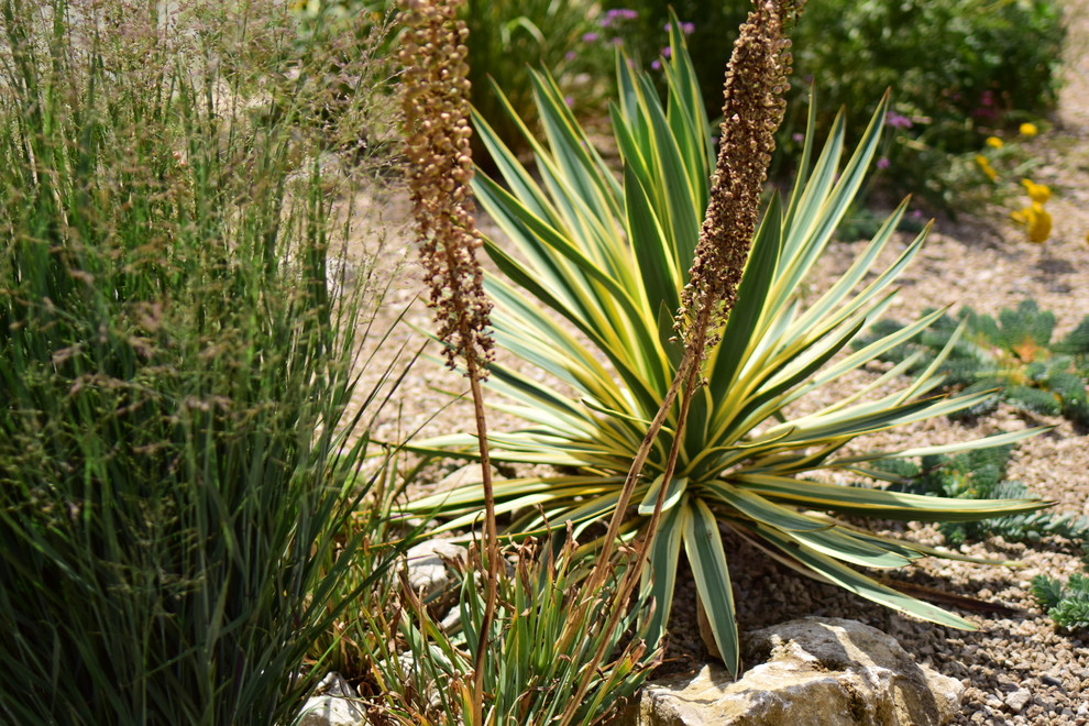 Ejemplo de jardín de secano mediterráneo pequeño en verano en ladera con exposición total al sol y adoquines de piedra natural