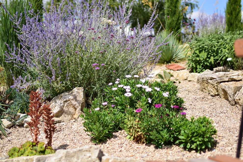 Idee per un piccolo giardino xeriscape mediterraneo esposto in pieno sole in estate con un pendio, una collina o una riva e pavimentazioni in pietra naturale