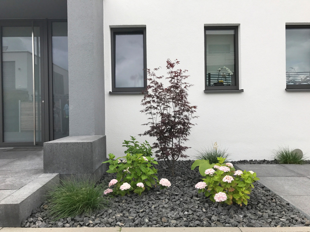 Moderner Vorgarten mit Blumenbeet in Frankfurt am Main