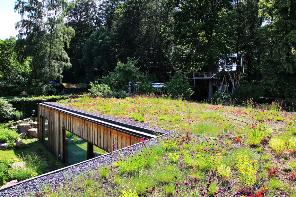 Design ideas for a contemporary garden in Hanover.