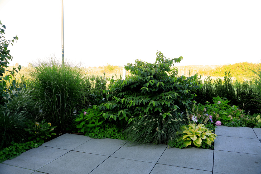 moderner Hausgarten Contemporary Garden Frankfurt by Christian
