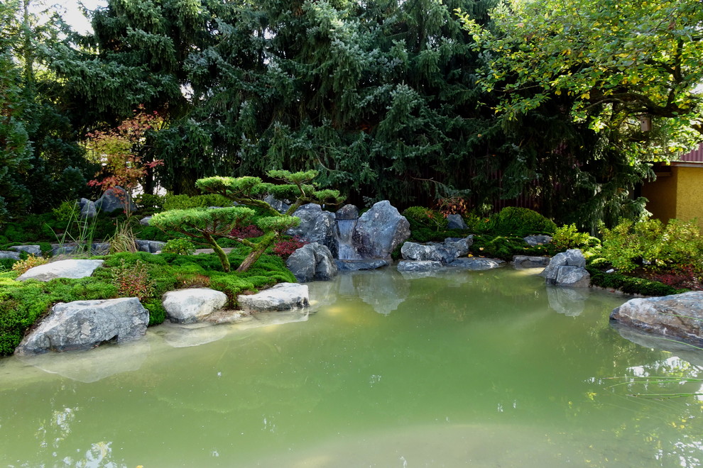 Moosgarten mit Teich und Wasserfall in Gießen Asiatisch Garten