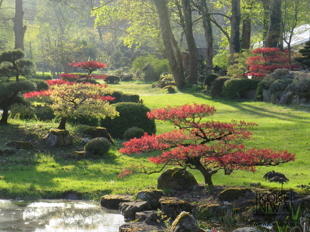 Inspiration för mycket stora asiatiska trädgårdar